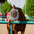 Load image into Gallery viewer, Horse Fly Mask – Eye & Face Protection