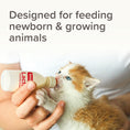 Load image into Gallery viewer, Beaphar Lactol Milk Replacer Feeding Set - Bottle, Teats & Brush for Kittens, Puppies & Small Animals