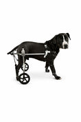 Load image into Gallery viewer, Pet Wheelchair