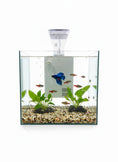 Load image into Gallery viewer, Atman Aquarium ZGT-30