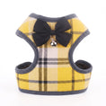 Load image into Gallery viewer, Small Pet Harness & Leash