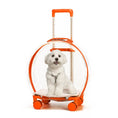 Load image into Gallery viewer, trolley Bag Transparent multi functional pet Bag
