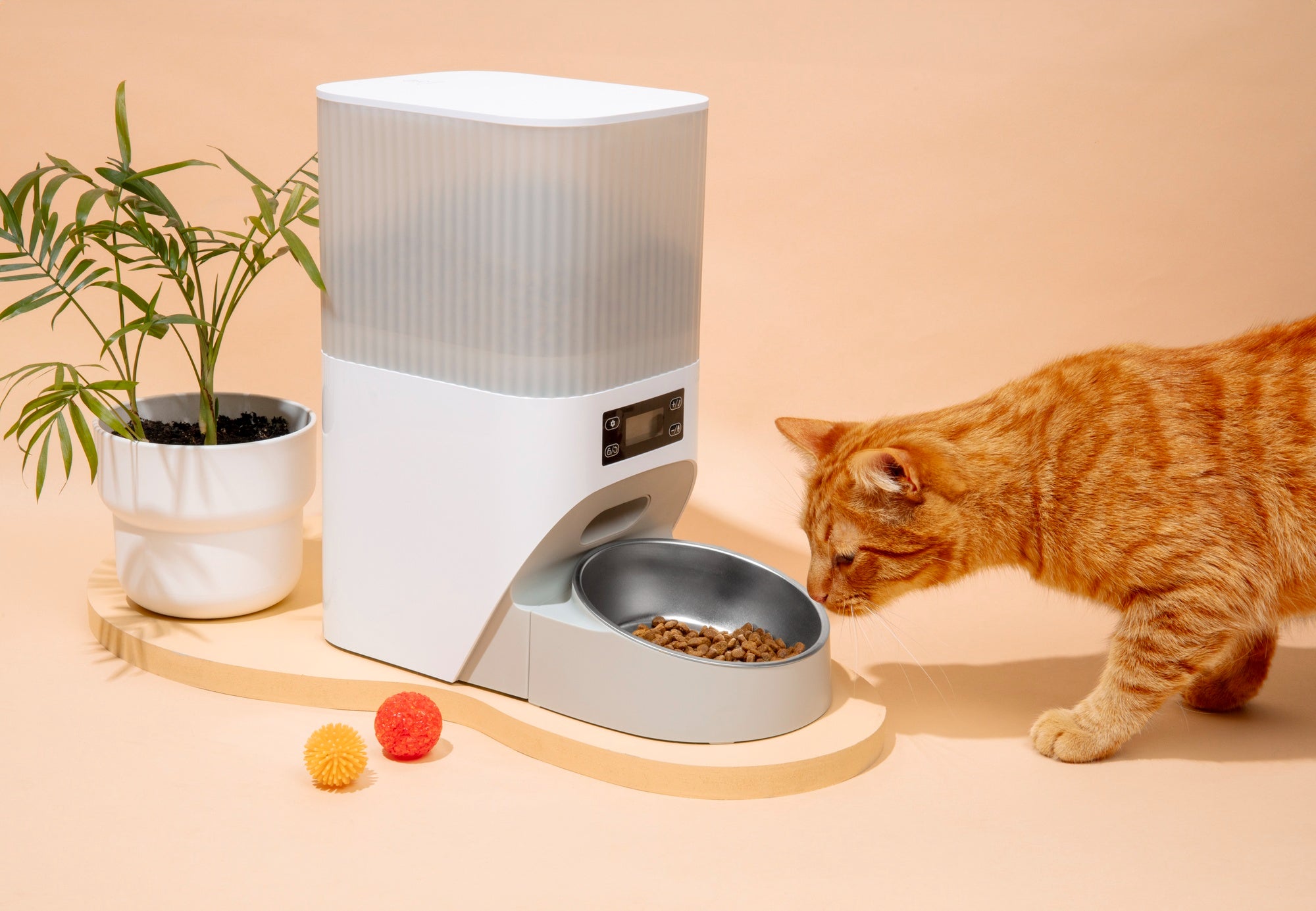 Cat - Bowls & Feeders