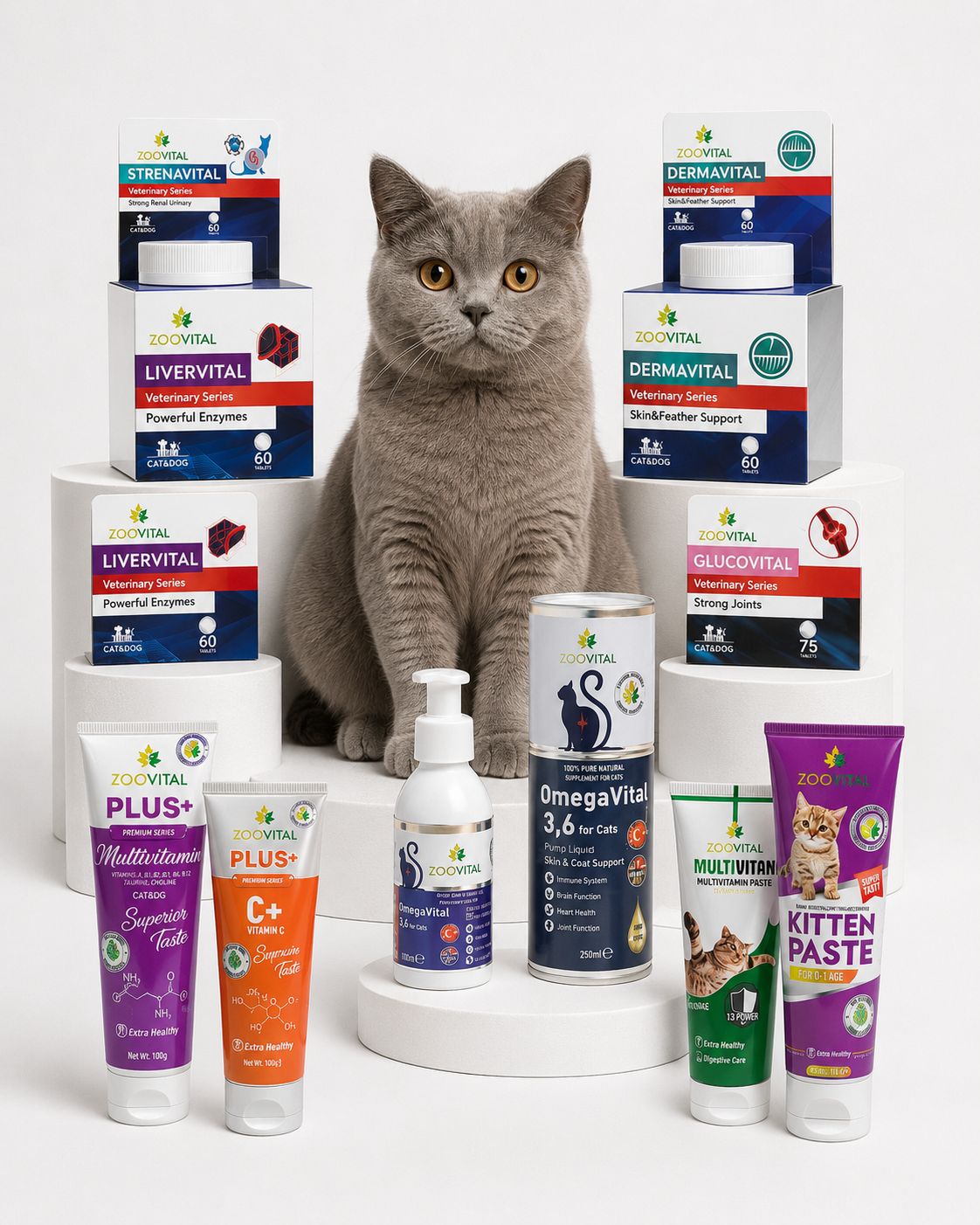 Cat Healthcare & Supplements