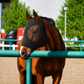 Load image into Gallery viewer, Horse Fly Mask – Eye & Face Protection
