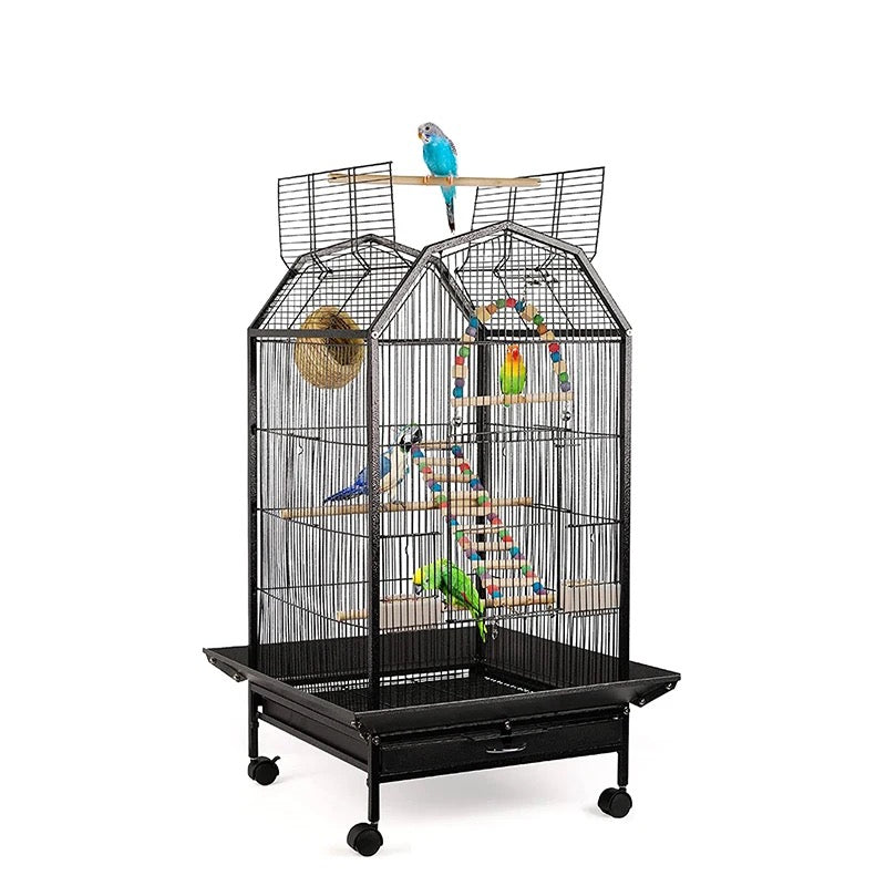 Birds, Partots Cage House