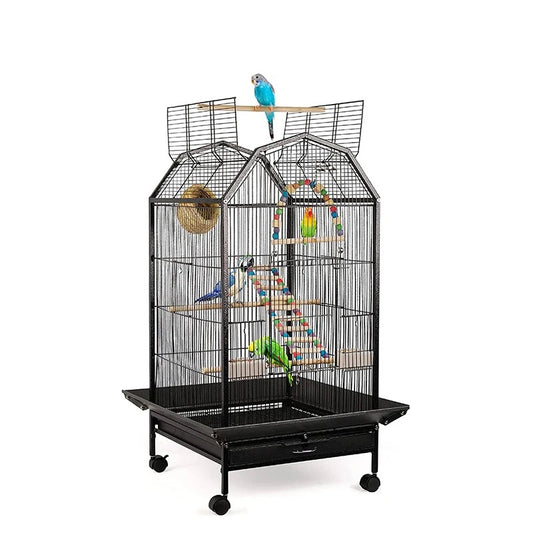 Birds, Partots Cage House