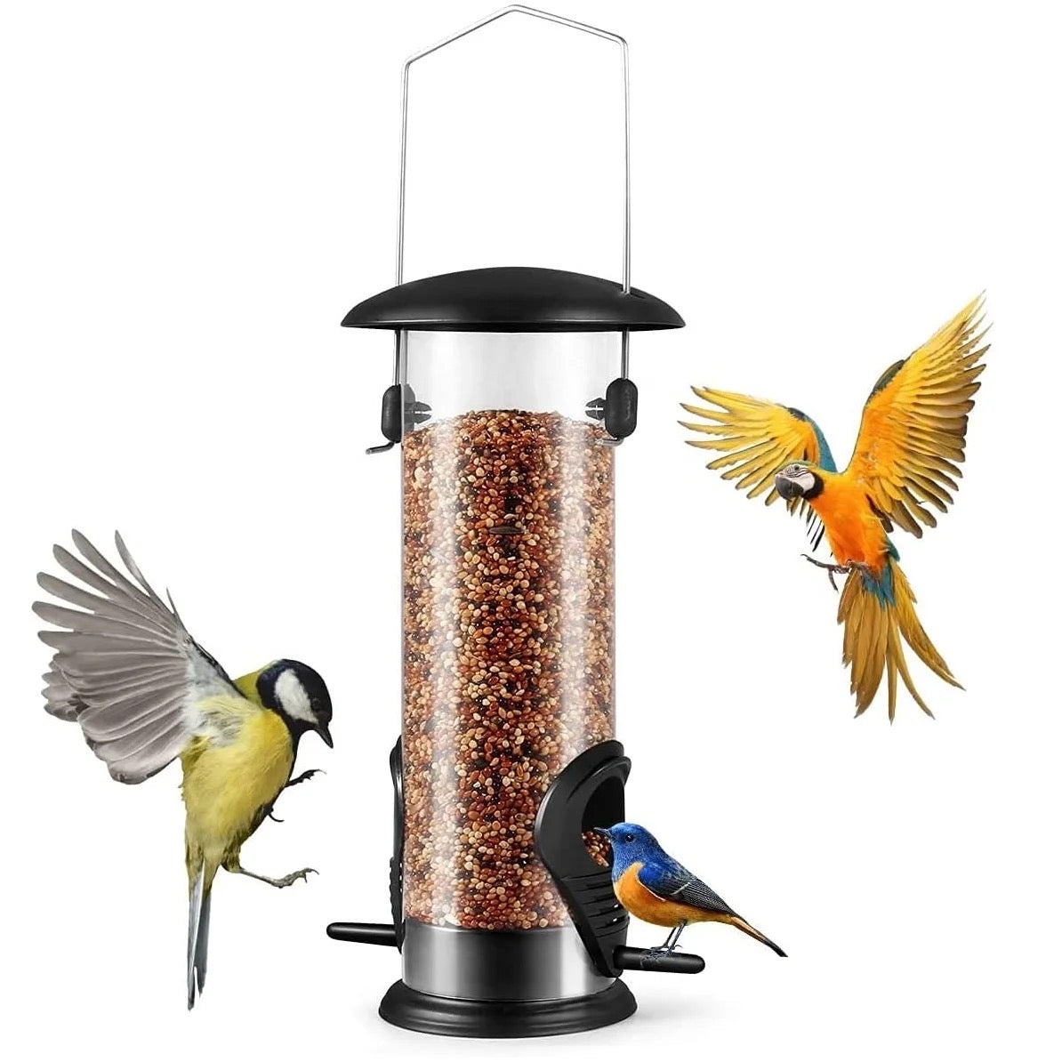Bird Feeders
