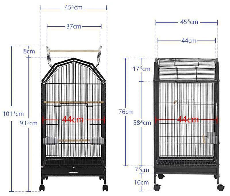 Birds, Partots Cage House