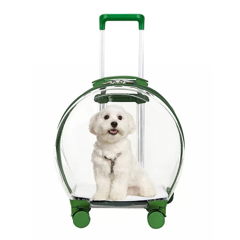 trolley Bag  Transparent  multi functional pet Bag