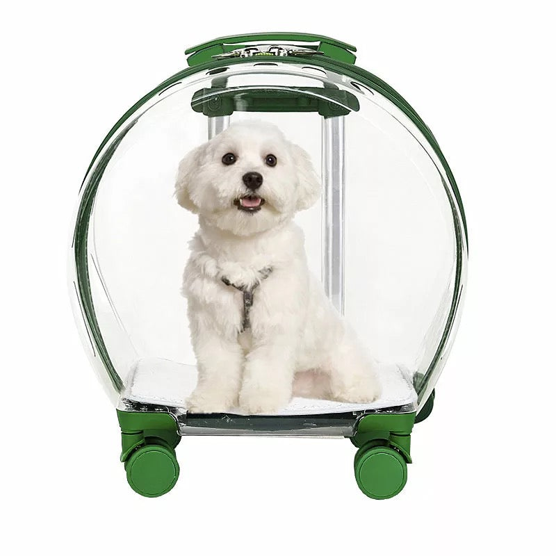 trolley Bag  Transparent  multi functional pet Bag