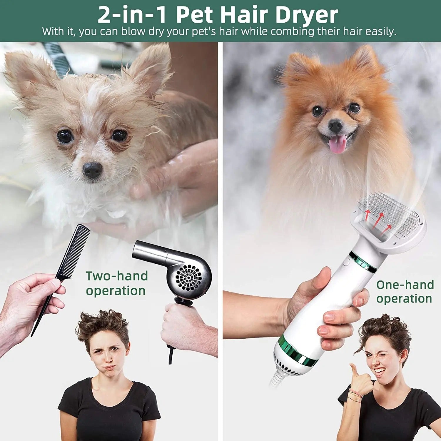 Pet Dryer