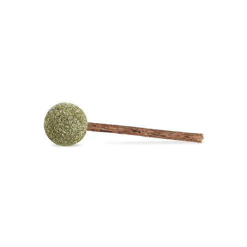Catnip Lollipop Cat Toy