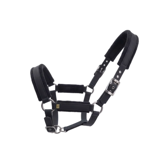 Horse Halter – Nylon with Cotton Lining