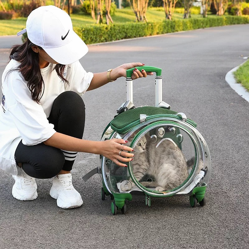 trolley bag portable pet flightcase transparent