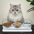 Load image into Gallery viewer, 3-in-1 Elevated Cat Feeder Bowls
