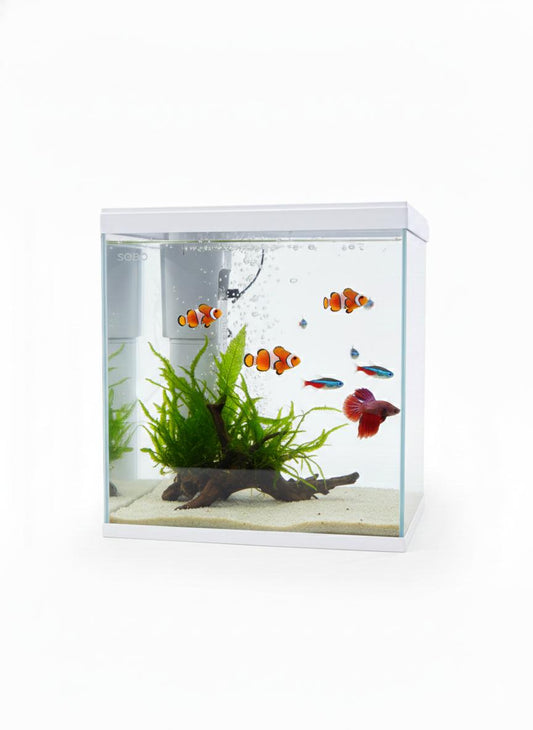 SEBO Aquarium – Model S-380F