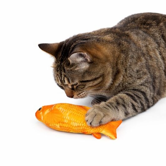 Cat toy Usb Electric Moving Flopping Kicker