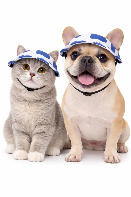 Pet Visor Hat for Cats & Dogs