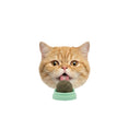 Load image into Gallery viewer, licking cat treats interactive spin playcatnip ball for cats
