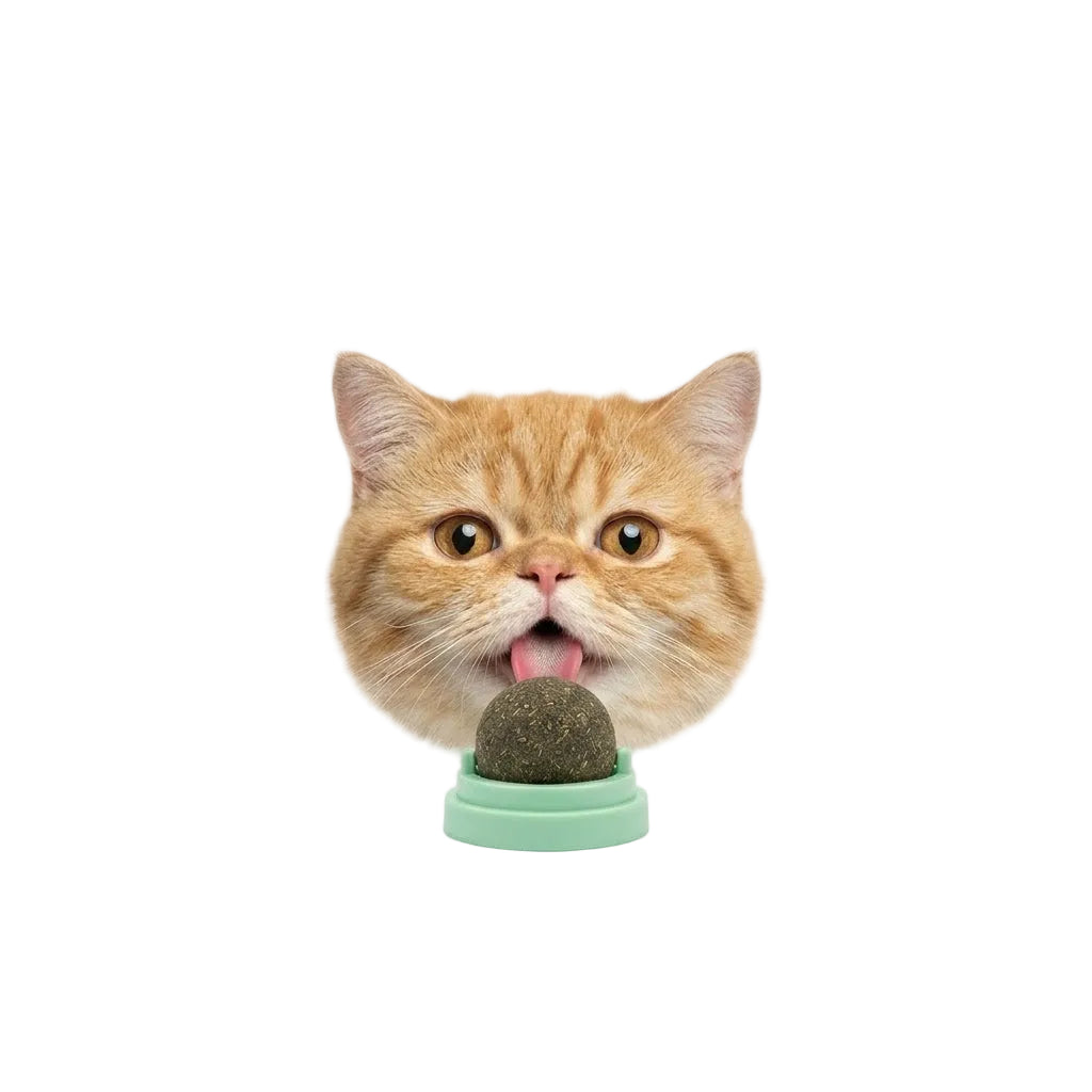 licking cat treats interactive spin playcatnip ball for cats