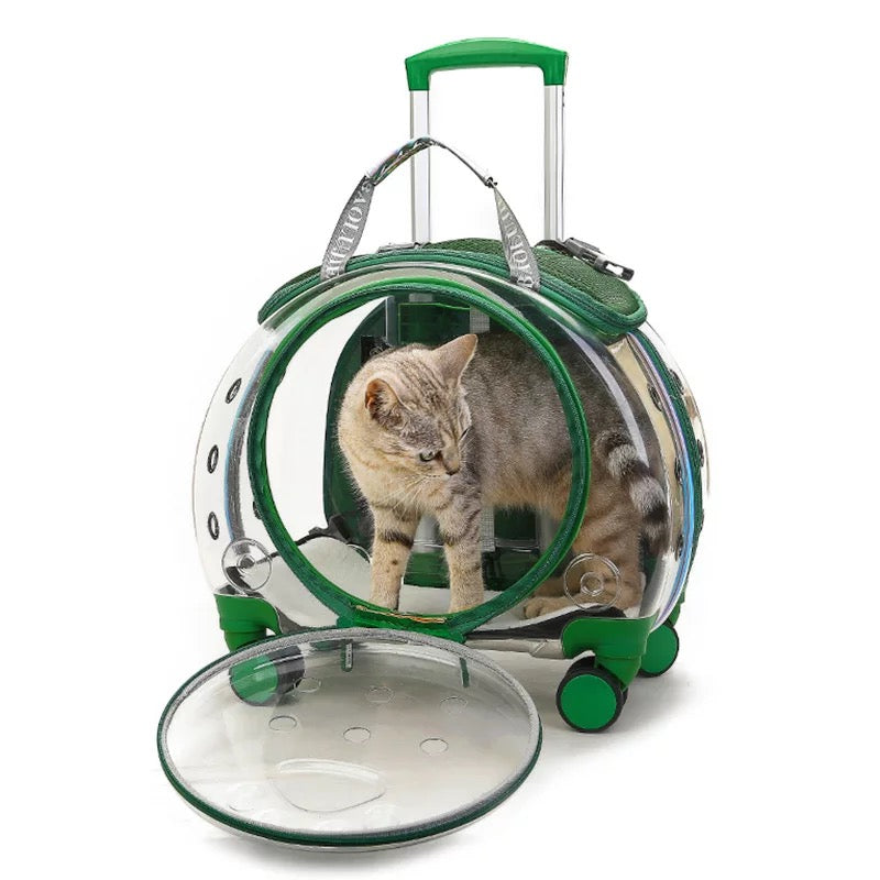 trolley bag portable pet flightcase transparent