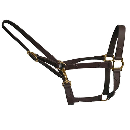 Horse Halter Buckles