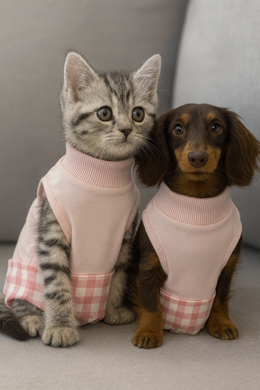 Dog & Cat Clothes