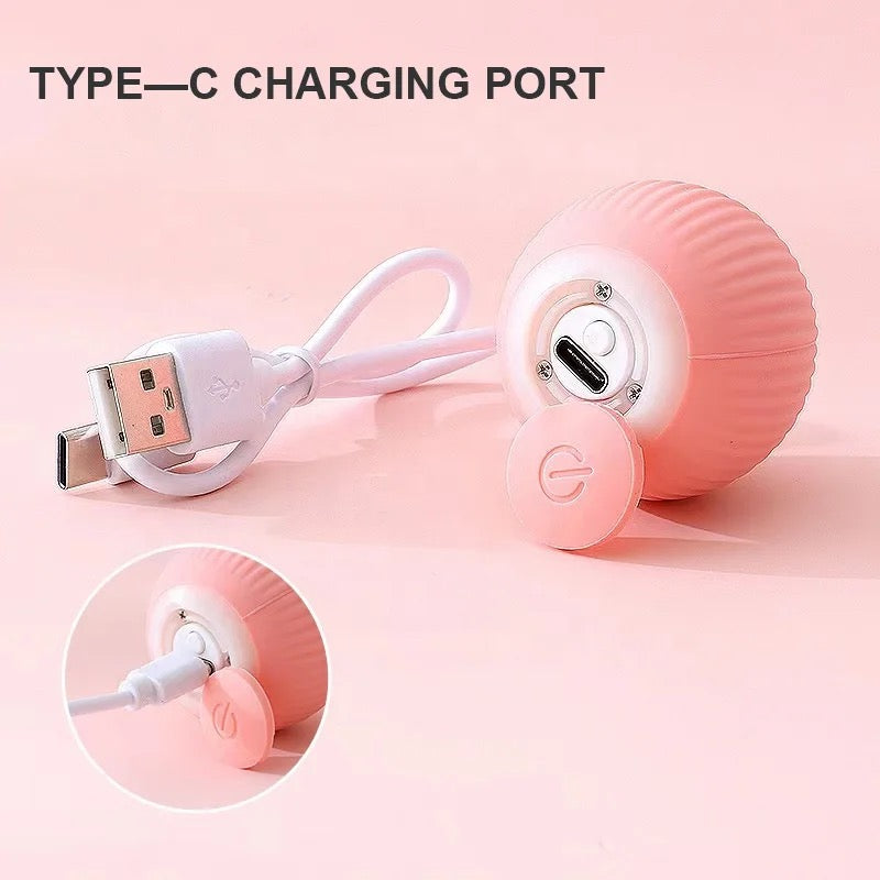 Smart remote control cat Toy