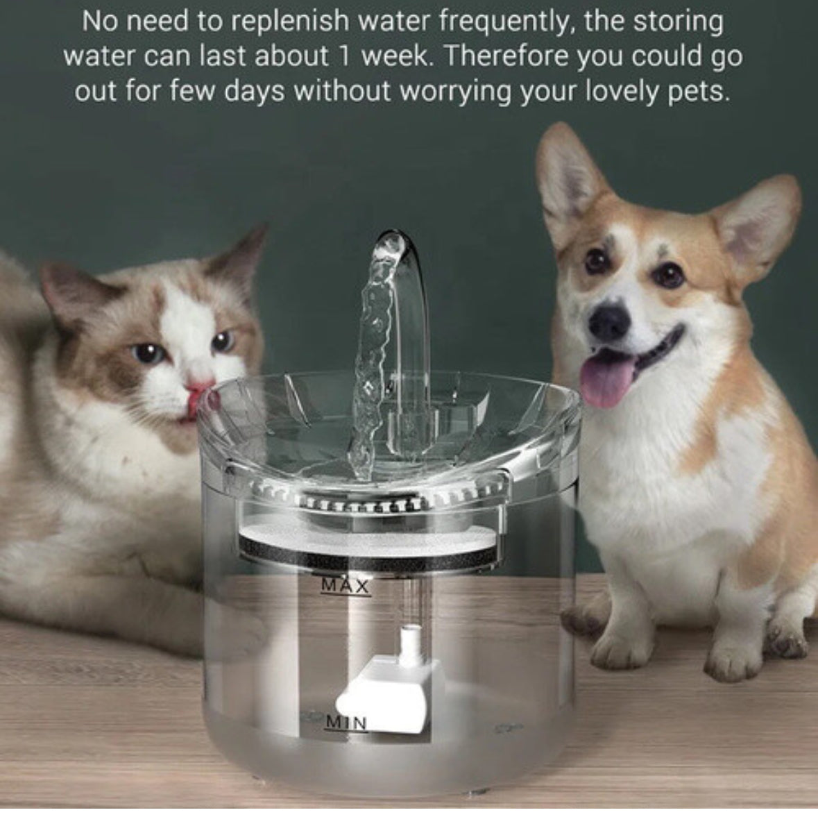 Automatic Pet Cat Water Fountain