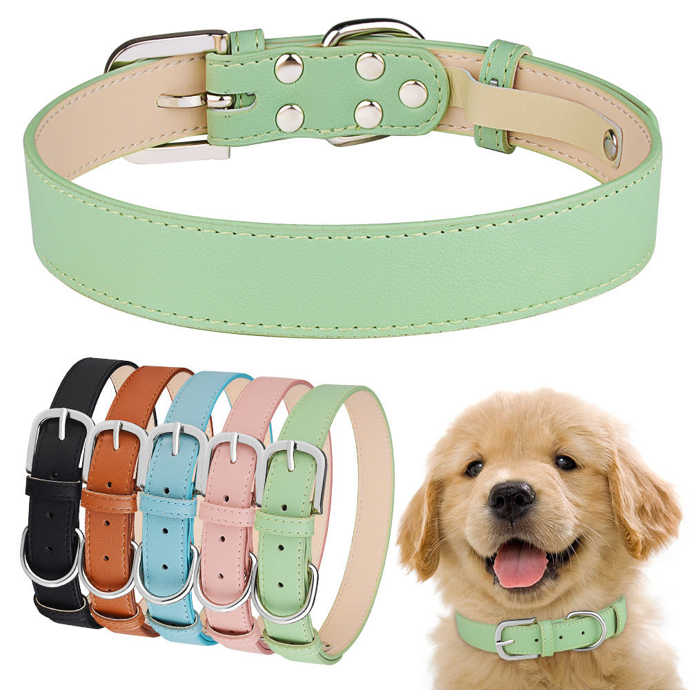 Leather Pet Collar