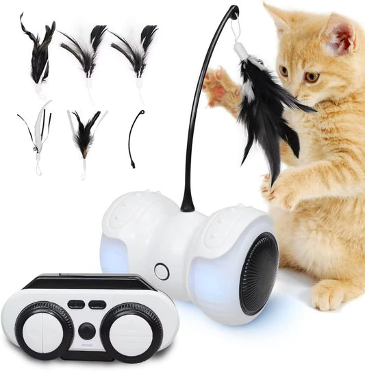 Remote Control Cat Car Toy