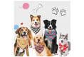 Load image into Gallery viewer, Adjustable Designer  Cat& Dog Collar Square Plaid Cotton
