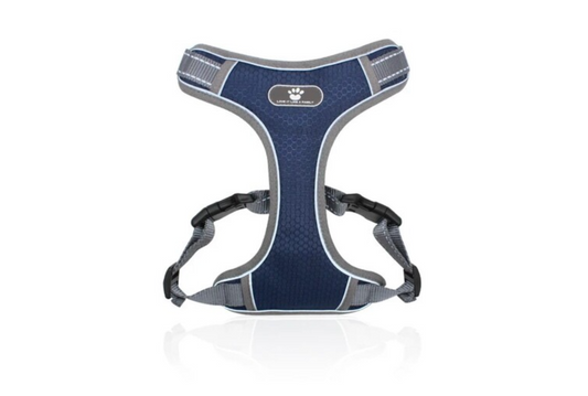 Pet chest and back leash