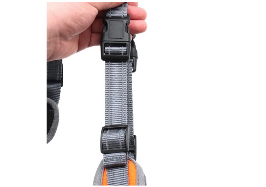 Pet chest and back leash