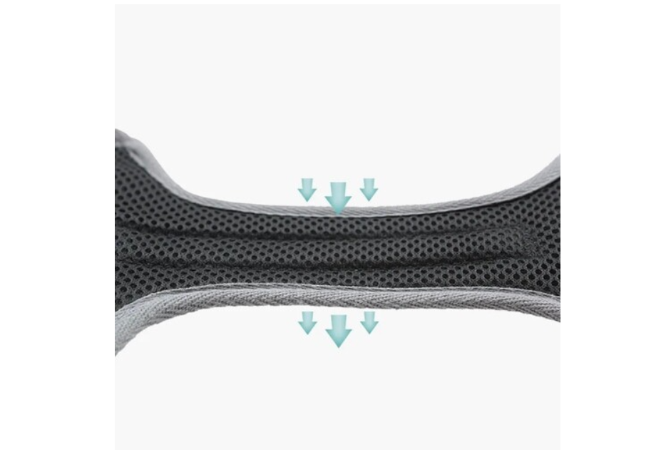 Pet chest and back leash