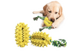 Load image into Gallery viewer, Playing Chew Toys Cactus Dog toothbrush

