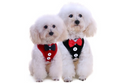 Load image into Gallery viewer, Adjustable Oxford Cloth Pet BowTie Dog Vest Chest Strap Leash
