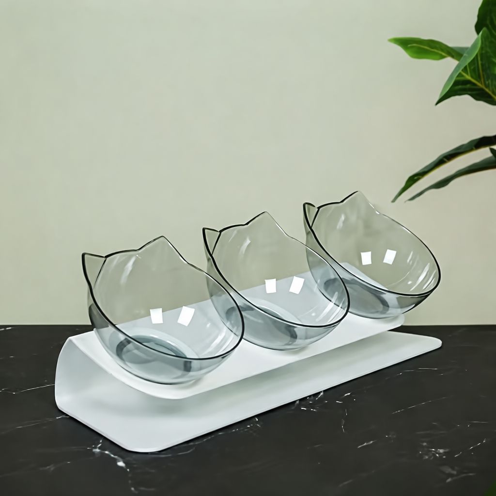 3-in-1 Elevated Cat Feeder Bowls