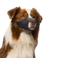 Load image into Gallery viewer, Dog Muzzle Rubber
