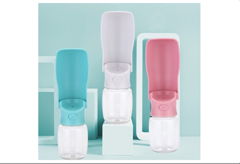 dog bowl water and feeding