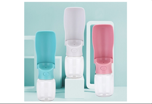 dog bowl water and feeding