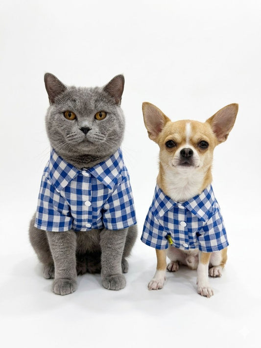 Blue Summer Pet Shirt