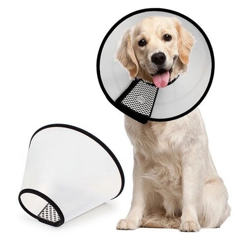 Bastion Protective Collar / Small