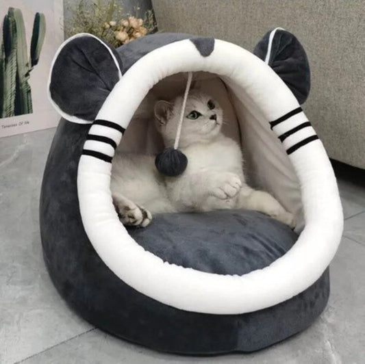 Pet bed Room