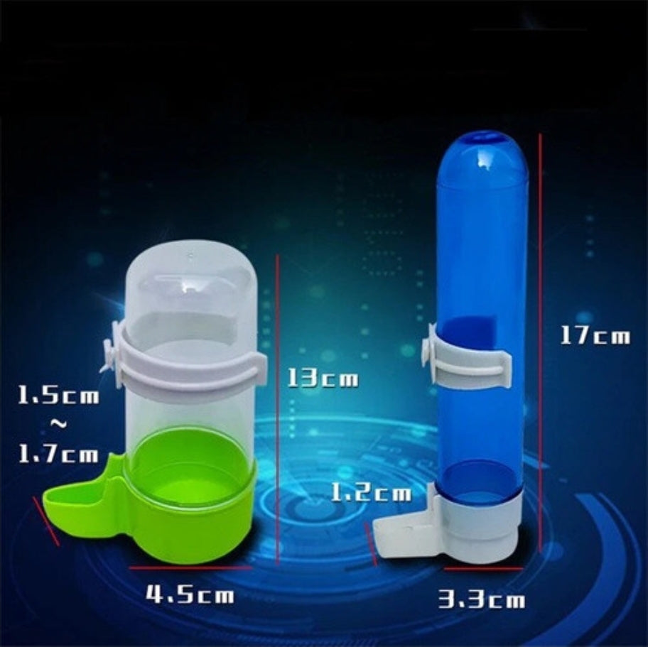 Birds drinking  water feeding